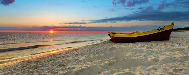 Holiday essential hammock